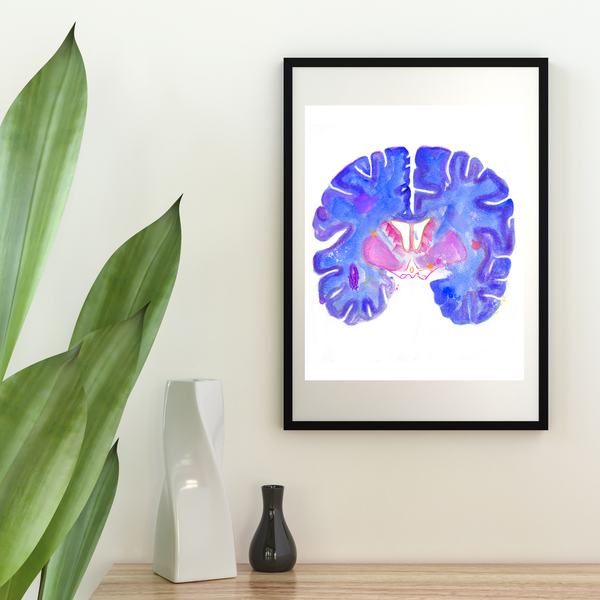 Brain Coronal Section Watercolor Art Print - medpapers
