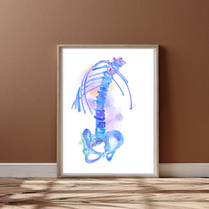 Bechterew´s Disease - Ankylosing Spondylitis Rheumatology Art