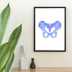 Pelvis Anatomy Art Print, Physical Therapy Art, Orthopedic Surgery Art