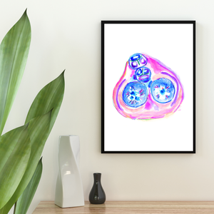 Cardiac Valves Anatomy Art Print