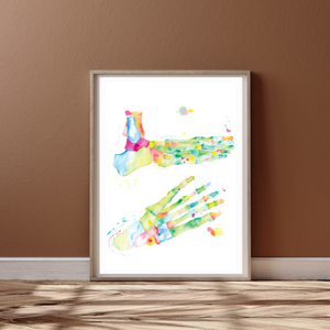 Foot Anatomy Art Print