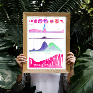 Menstrual Cycle Watercolor Art Print