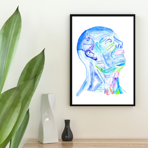 Head and Neck Anatomy Art Print