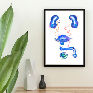 Urology Artwork