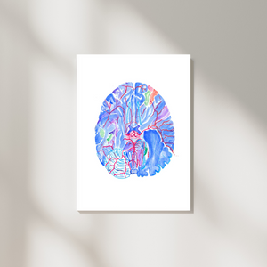 Circle of Willis Brain Anatomy Art Print