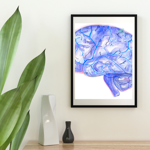 neuroanatomy artwork