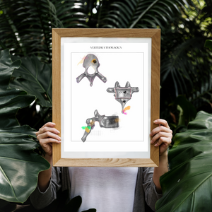 Thoracic Vertebra Anatomy Art