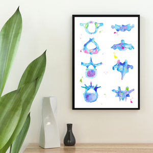 Vertebrae Anatomy Art Print, Chiropractic and Physical Therapy Wall Decor