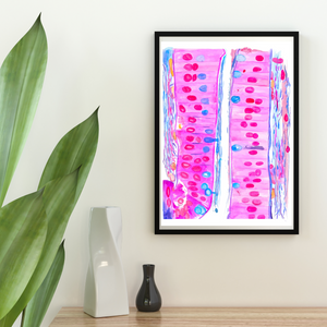 Duodenum Histology Art Print