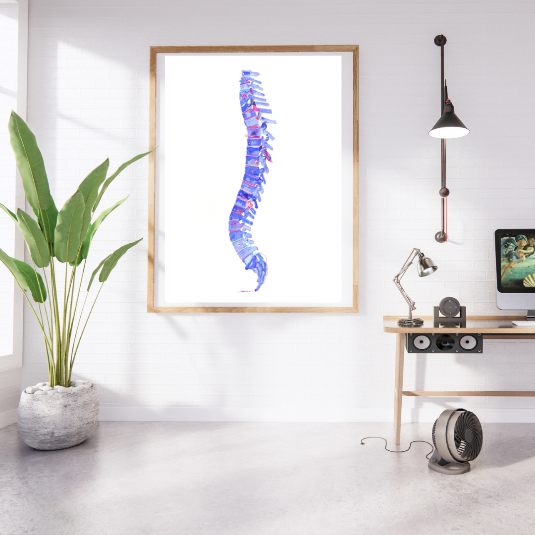 spine blue anatomy art print