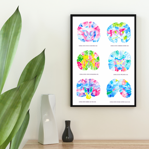 Brain Neuroanatomy Art, Neurologist Gift, Medical Office Decor