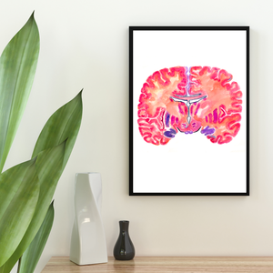 Hippocampus Neuroanatomy Art Print