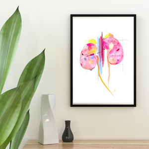 Kidney Art, Abstract Anatomy Art, Nephrology Office Art