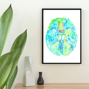 Brain Anatomy Watercolor Painting