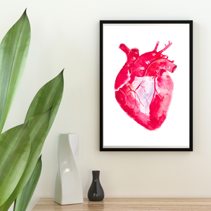 Heart Anatomy Watercolor Illustration