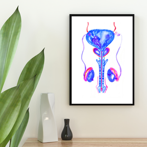 Urology Artwork