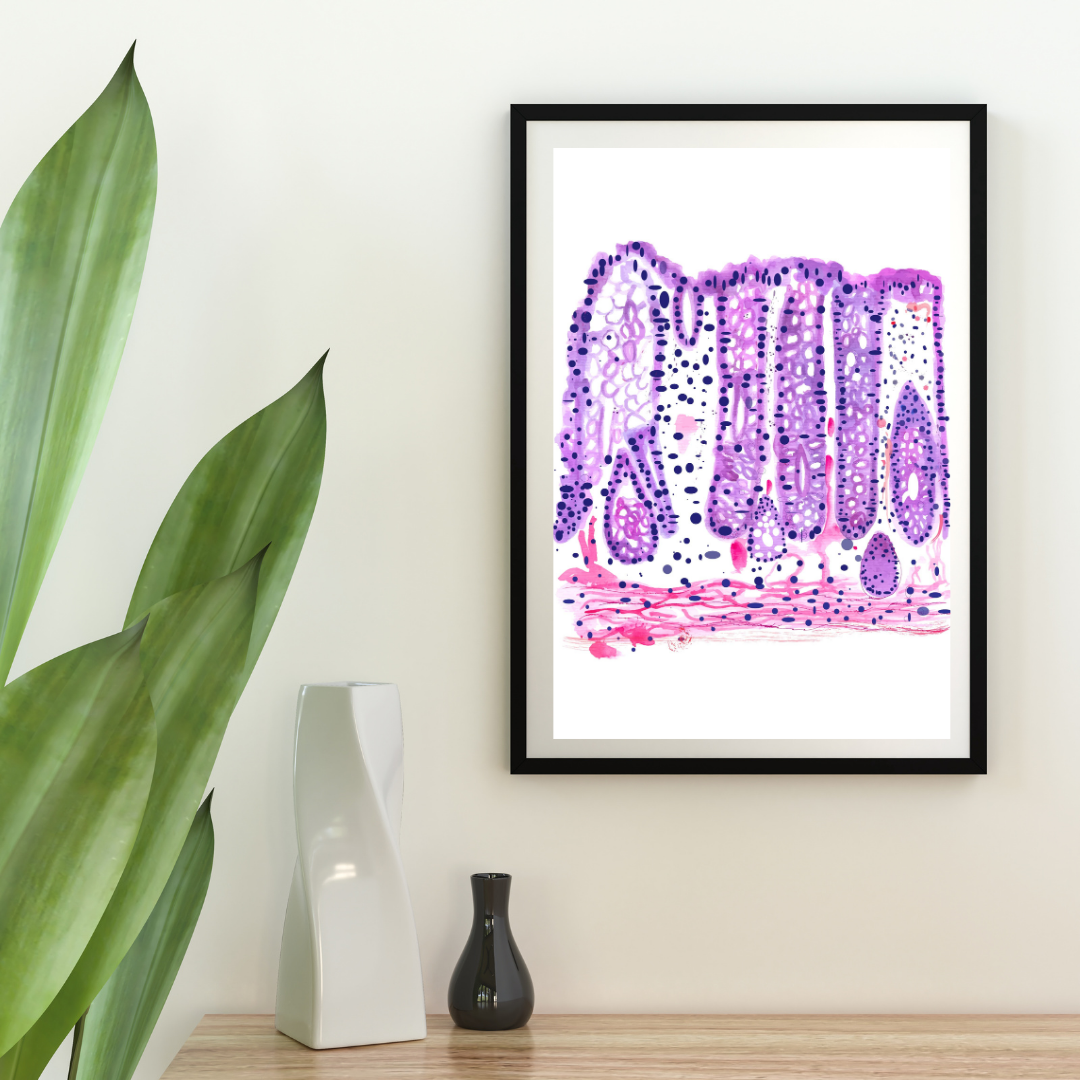 Colon Histology Art Print