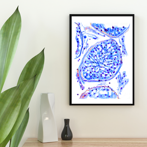 Testicular Histology Watercolor Art