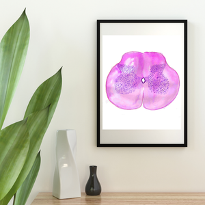 Spinal Cord Histology Art Print