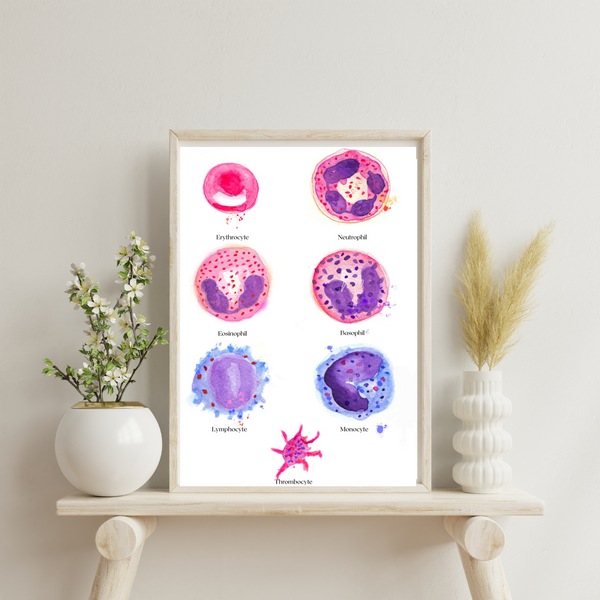 Blood Cell Art - medpapers
