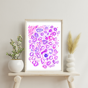 Breast Histology Art Print