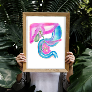 ERCP Gastroenterology Art