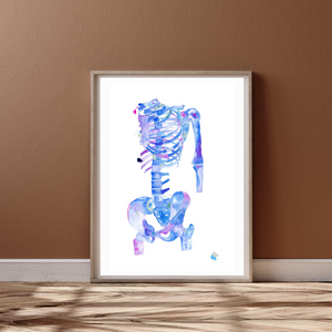Skeleton Human Anatomy Art Print