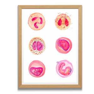 Leukocytes Art Print