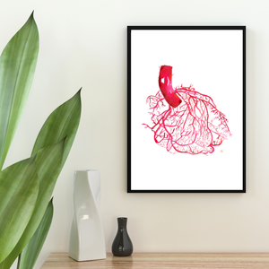 Heart Anatomy Vascularization Art Print