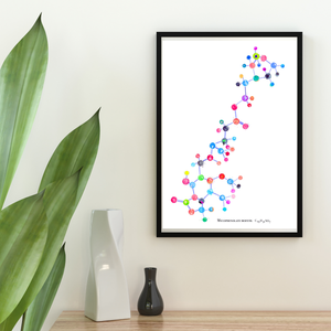 Mycophenolate Mofetil  Molecule Art Print