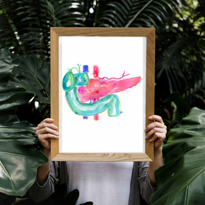 Pancreas Anatomy Art Watercolor Print