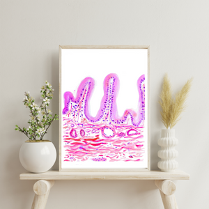 Cholecyst Histology Watercolor Painting