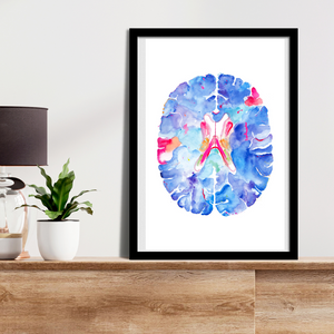 Brain Anatomy Art, Neuroscience Art, Neurologist Gift