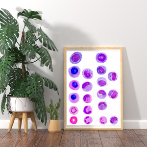 Hematopoiesis Art Print