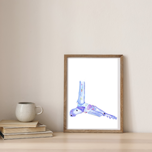 Foot Anatomy Art Print