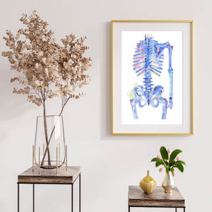 anatomical painting for medical doctor office