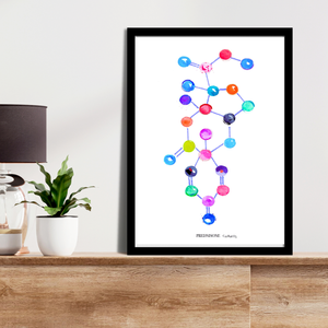 Prednison Molecule Art Print