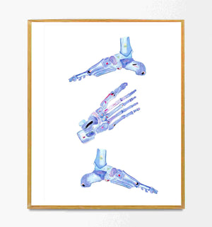 Foot Anatomy Art, Orthopedic Surgery Art, Podiatry Art Print