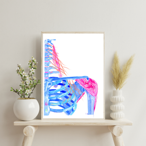 Cervical Plexus Abstract Anatomy Art