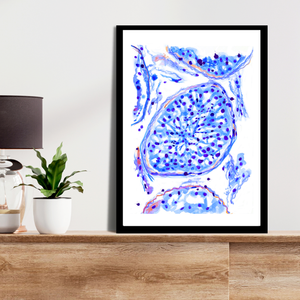 Testicular Histology Watercolor Art