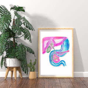 ERCP Gastroenterology Art