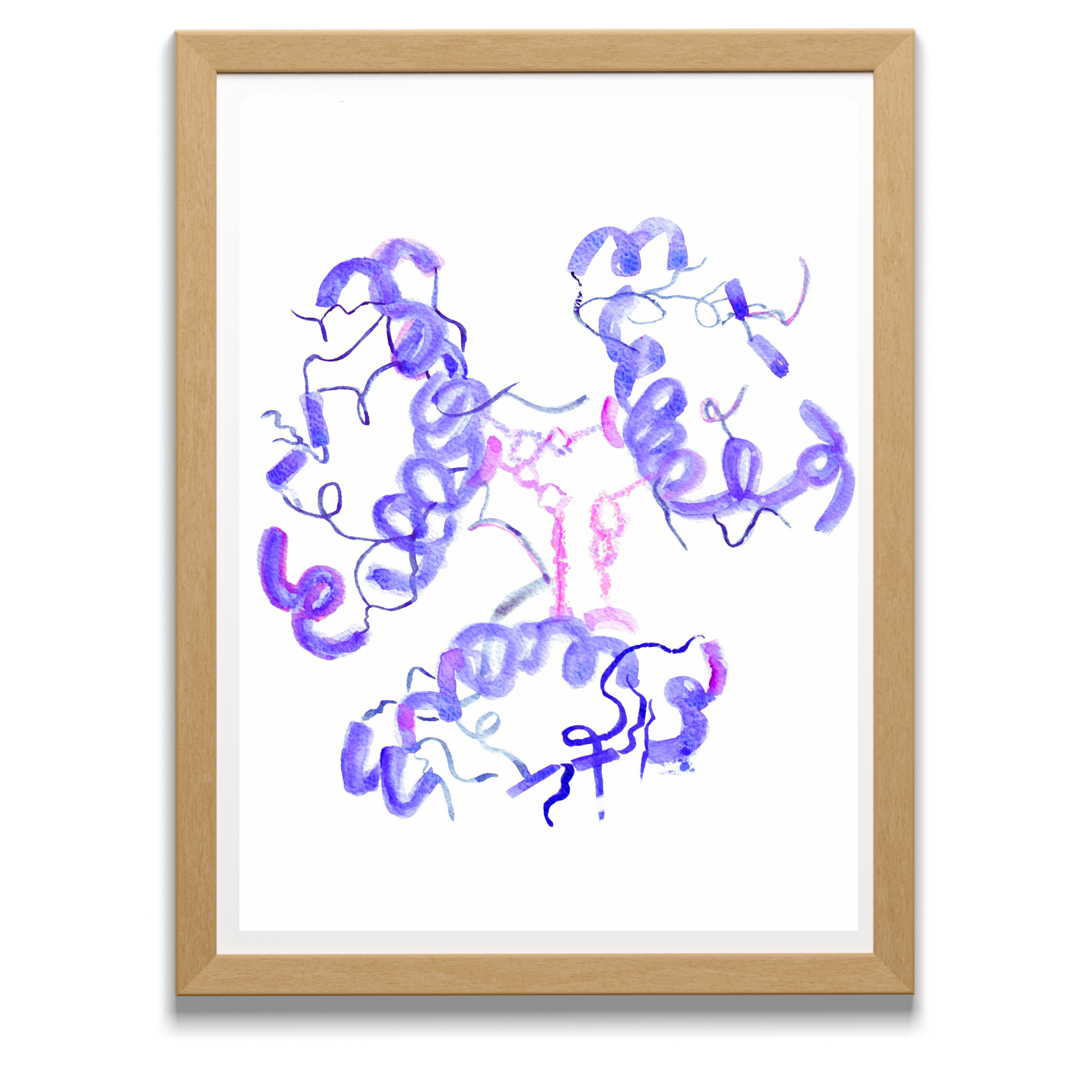 insuline molecular biology wall decor
