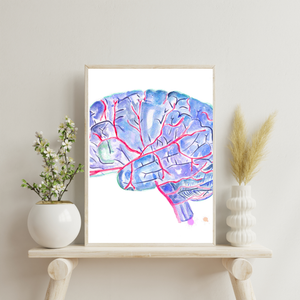 Brain Anatomy and Arteries Anatomy Art Print