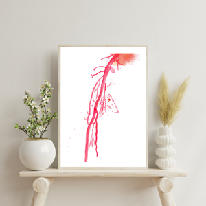 Brachial Artery Anatomy Art Print, Vascular Surgery Art, Traumatologist Gift