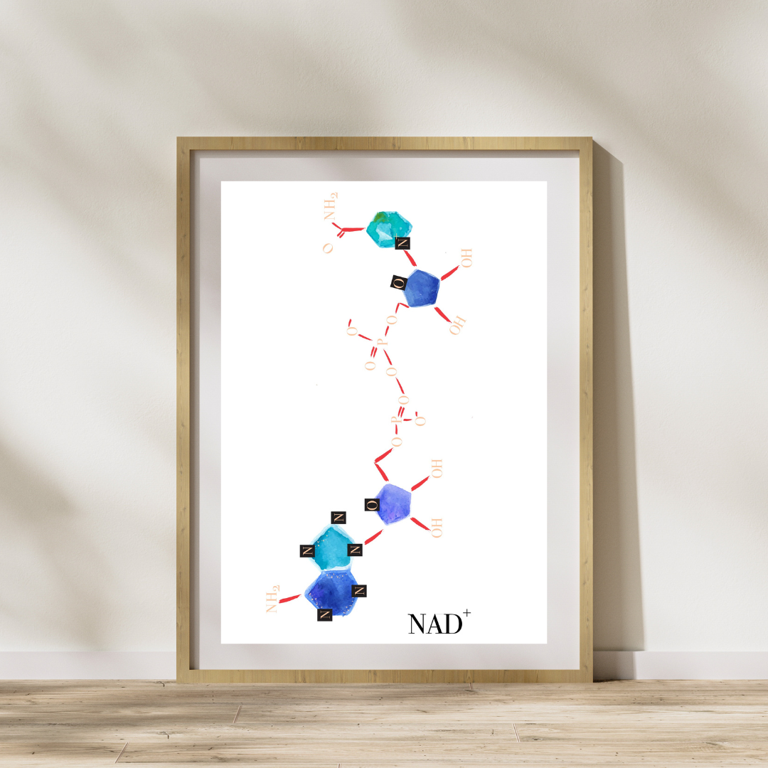 biochemistry art print