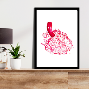 Heart Anatomy Vascularization Art Print