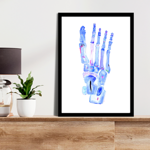 Foot Anatomy Art