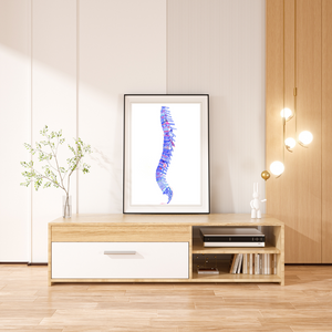 Human Anatomy Spine Abstract Anatomy Art Print, Chiropractic and Physical therapy Offices