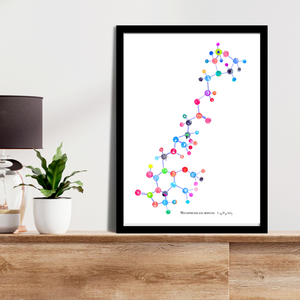 Mycophenolate Mofetil  Molecule Art Print