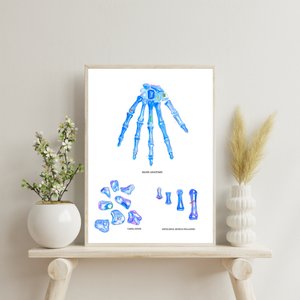 Hand Anatomy Art Print
